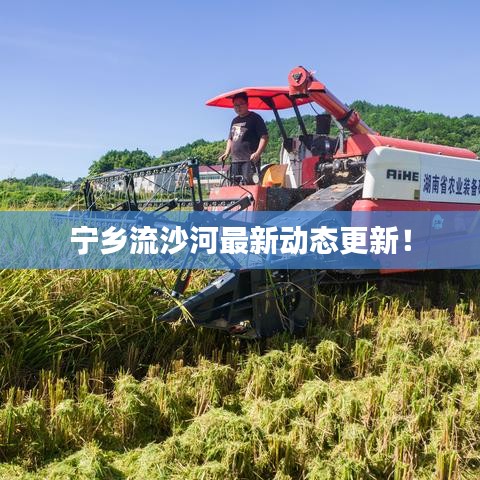 宁乡流沙河最新动态更新！