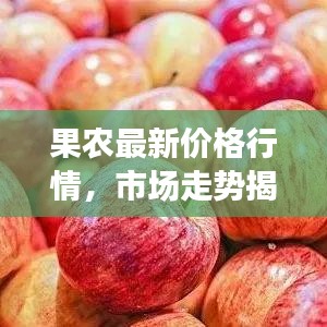 果农最新价格行情,市场走势揭秘、影响因素剖析及应对策略探讨