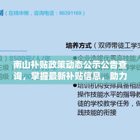 南山补贴政策动态公示公告查询，掌握最新补贴信息，助力企业发展