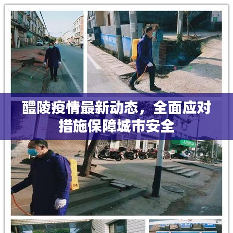 醴陵疫情最新动态，全面应对措施保障城市安全