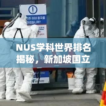 NUS学科世界排名揭秘,新加坡国立大学全球教育领域的卓越成就