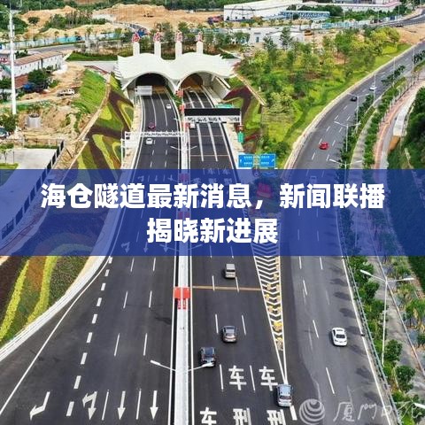 海仓隧道最新消息，新闻联播揭晓新进展