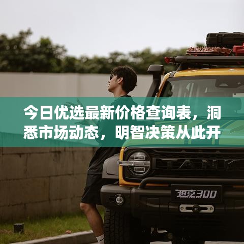 今日优选最新价格查询表,洞悉市场动态,明智决策从此开始