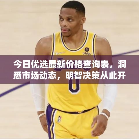 今日优选最新价格查询表,洞悉市场动态,明智决策从此开始