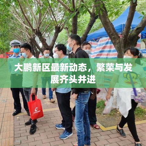 大鹏新区最新动态，繁荣与发展齐头并进