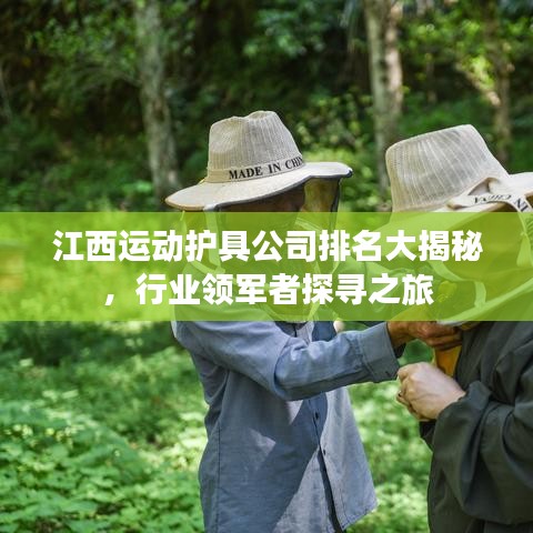 江西运动护具公司排名大揭秘，行业领军者探寻之旅
