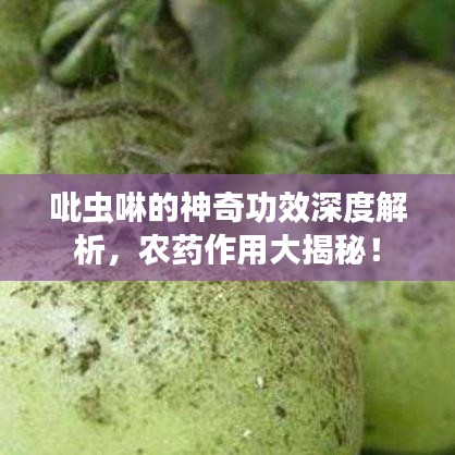 吡虫啉的神奇功效深度解析,农药作用大揭秘!