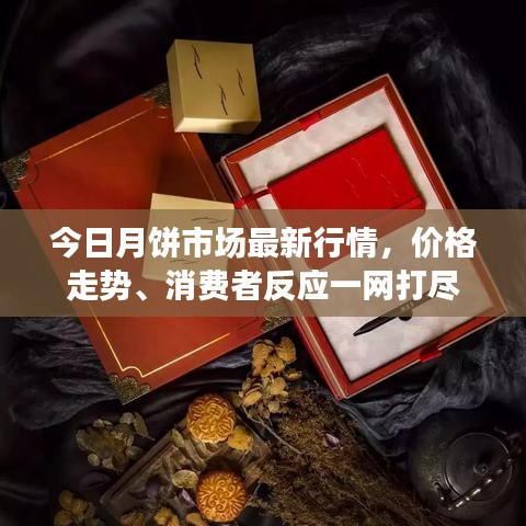 今日月饼市场最新行情，价格走势、消费者反应一网打尽