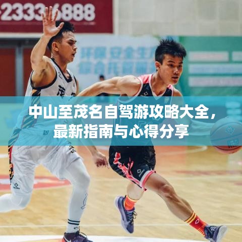 中山至茂名自驾游攻略大全,最新指南与心得分享