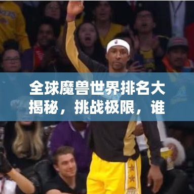 全球魔兽世界排名大揭秘，挑战极限，谁为巅峰霸主？