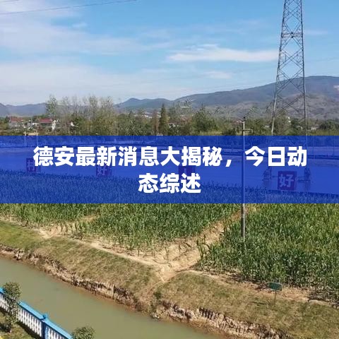 德安最新消息大揭秘，今日动态综述