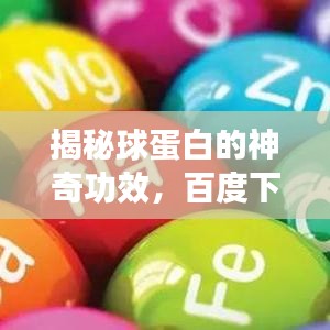 揭秘球蛋白的神奇功效，百度下的球蛋白作用详解
