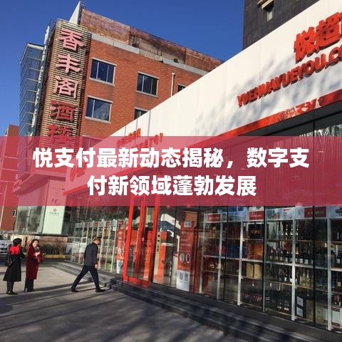 悦支付最新动态揭秘,数字支付新领域蓬勃发展