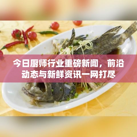 今日厨师行业重磅新闻，前沿动态与新鲜资讯一网打尽