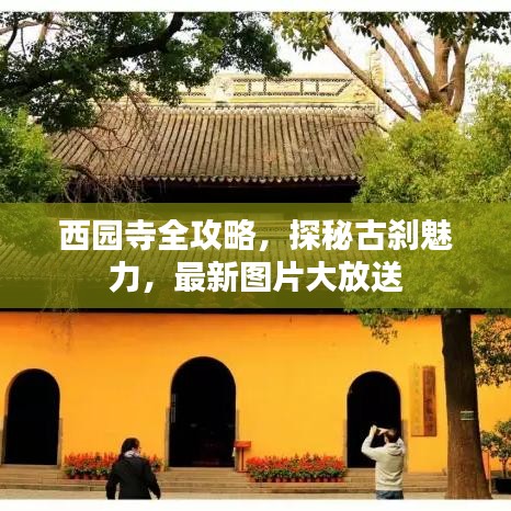 西园寺全攻略,探秘古刹魅力,最新图片大放送