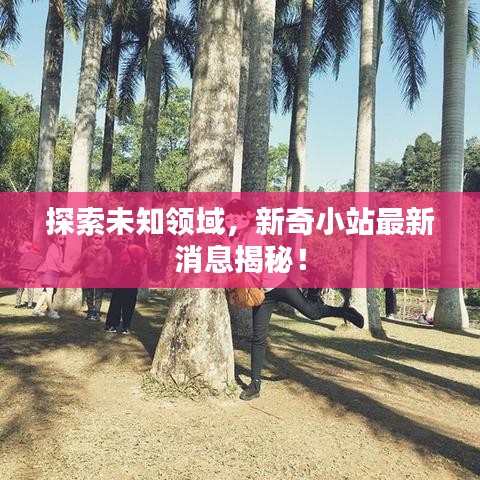 探索未知领域，新奇小站最新消息揭秘！