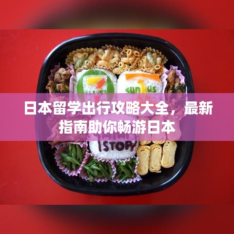 日本留学出行攻略大全，最新指南助你畅游日本