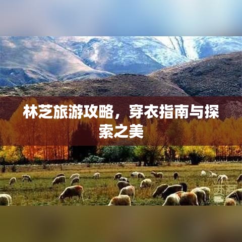 鸟声兽心 第7页