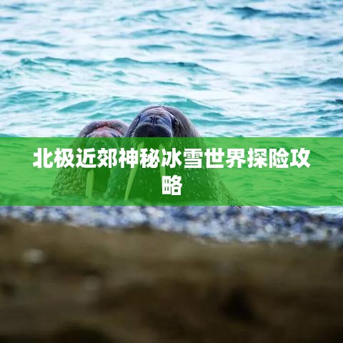 北极近郊神秘冰雪世界探险攻略