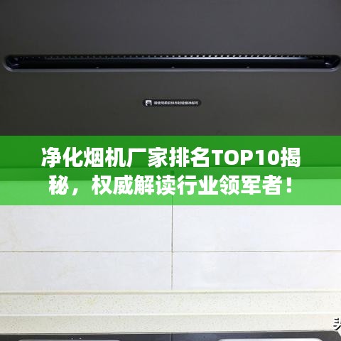 净化烟机厂家排名TOP10揭秘，权威解读行业领军者！