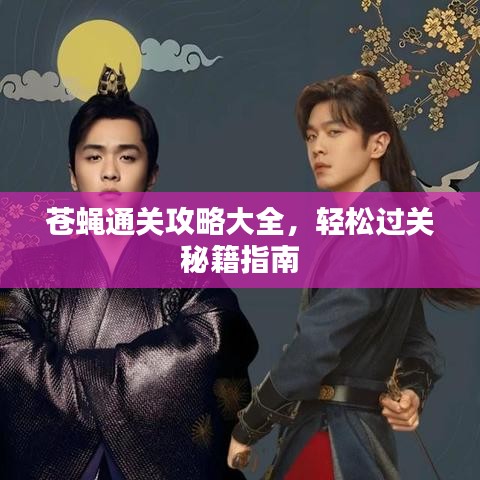 苍蝇通关攻略大全，轻松过关秘籍指南