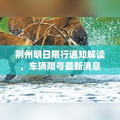 荆州明日限行通知解读，车辆限号最新消息