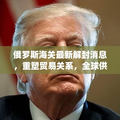 俄罗斯海关最新解封消息，重塑贸易关系，全球供应链重新整合启动