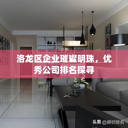洛龙区企业璀璨明珠，优秀公司排名探寻