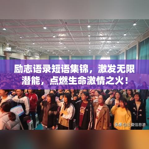 励志语录短语集锦,激发无限潜能,点燃生命激情之火!