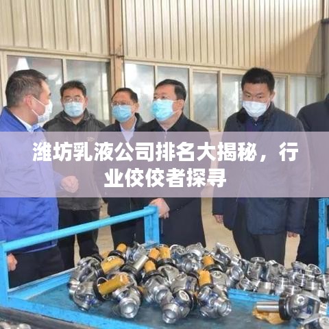 潍坊乳液公司排名大揭秘，行业佼佼者探寻