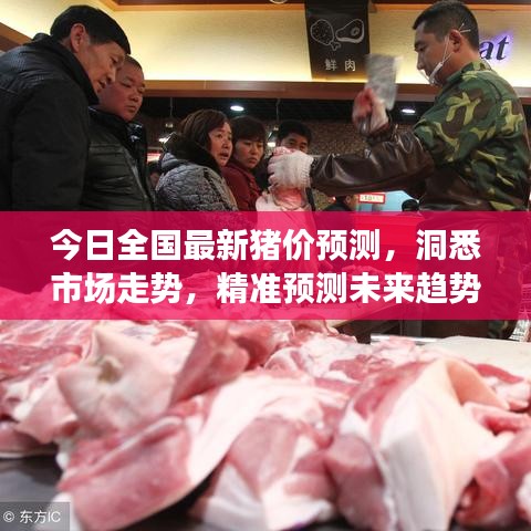 今日全国最新猪价预测，洞悉市场走势，精准预测未来趋势