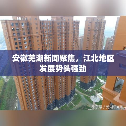 安徽芜湖新闻聚焦，江北地区发展势头强劲