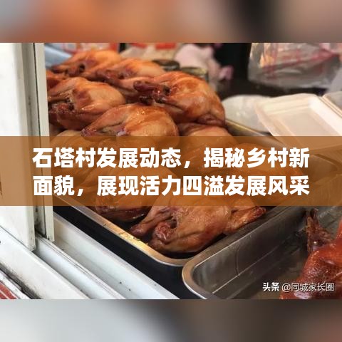 石塔村发展动态，揭秘乡村新面貌，展现活力四溢发展风采