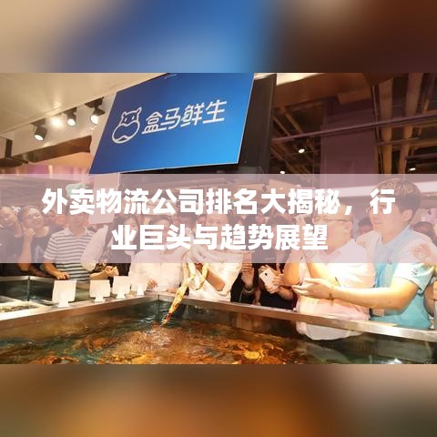 外卖物流公司排名大揭秘，行业巨头与趋势展望