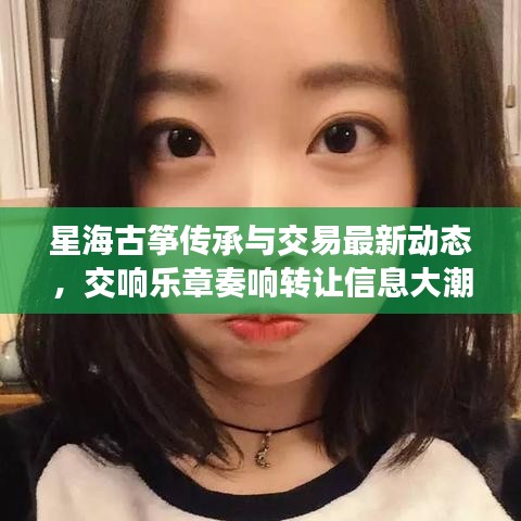 星海古筝传承与交易最新动态，交响乐章奏响转让信息大潮