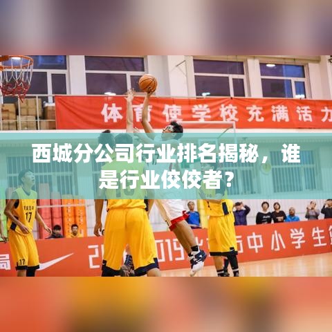 西城分公司行业排名揭秘，谁是行业佼佼者？