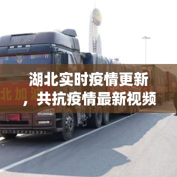 湖北实时疫情更新，共抗疫情最新视频报道