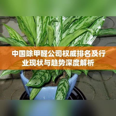 中国除甲醛公司权威排名及行业现状与趋势深度解析