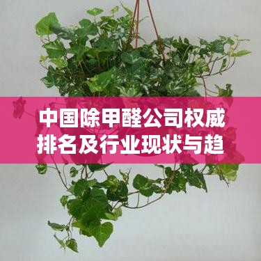 中国除甲醛公司权威排名及行业现状与趋势深度解析