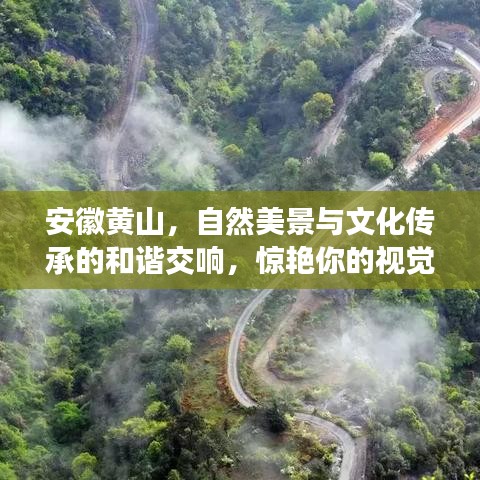安徽黄山，自然美景与文化传承的和谐交响，惊艳你的视觉盛宴！
