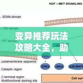 变异推荐玩法攻略大全，助你轻松掌握最新策略！