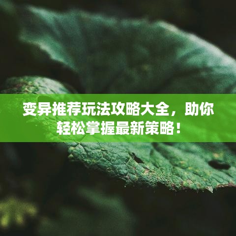 变异推荐玩法攻略大全,助你轻松掌握最新策略!