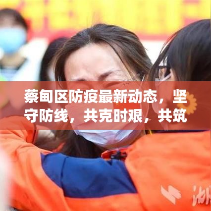 蔡甸区防疫最新动态，坚守防线，共克时艰，共筑健康防线