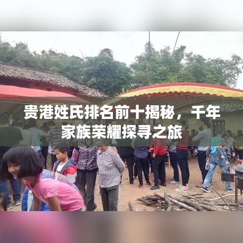 贵港姓氏排名前十揭秘，千年家族荣耀探寻之旅