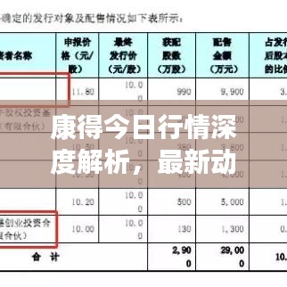 康得今日行情深度解析，最新动态与走势预测
