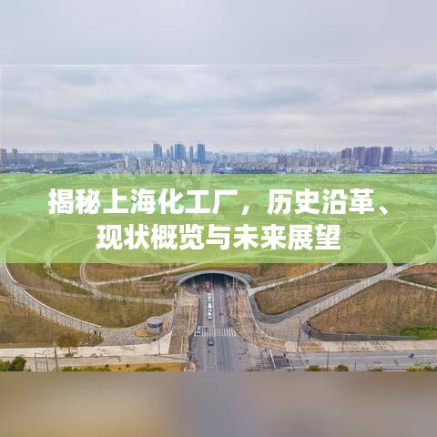 揭秘上海化工厂，历史沿革、现状概览与未来展望