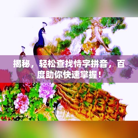 揭秘，轻松查找恃字拼音，百度助你快速掌握！