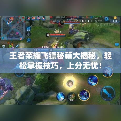 王者荣耀飞镖秘籍大揭秘，轻松掌握技巧，上分无忧！