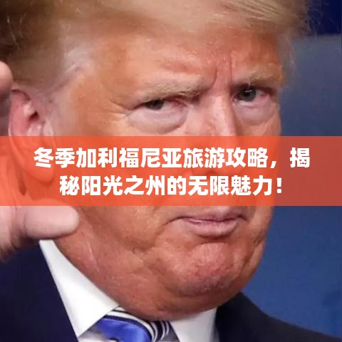 冬季加利福尼亚旅游攻略，揭秘阳光之州的无限魅力！