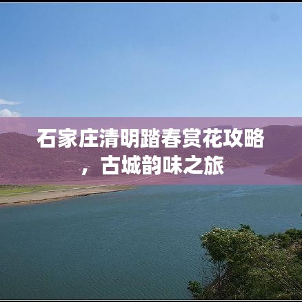 石家庄清明踏春赏花攻略，古城韵味之旅